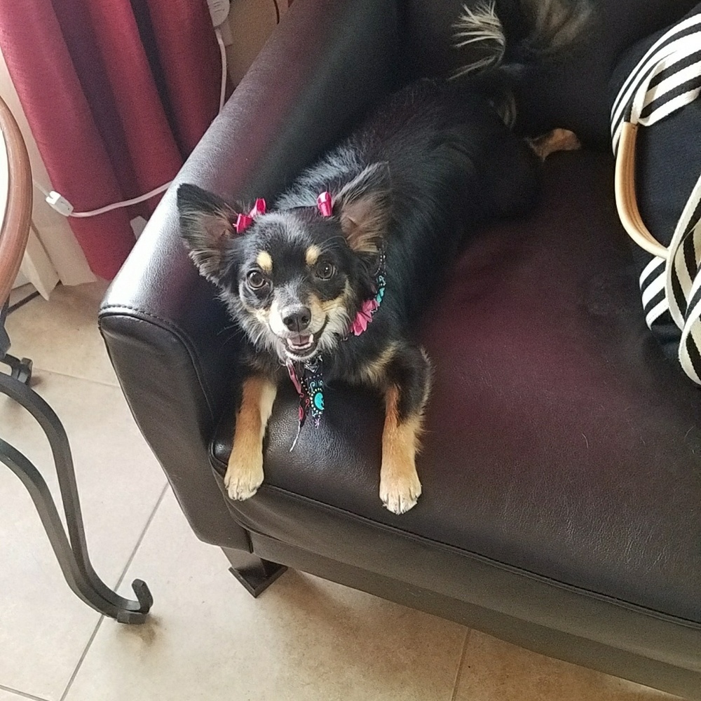 Meet your Posher, Tracy